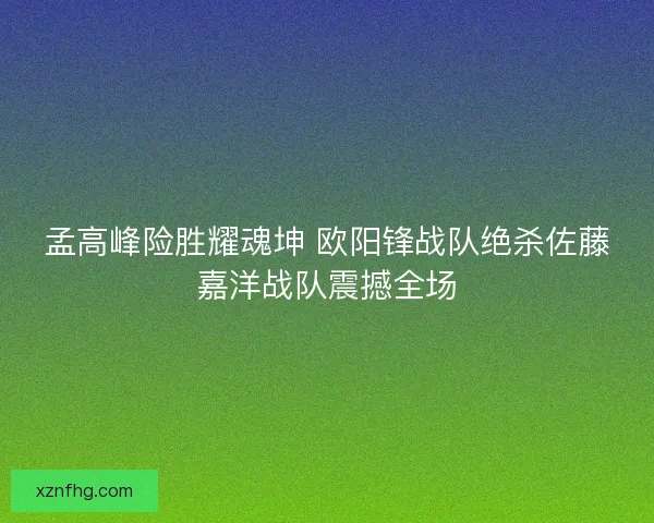 孟高峰险胜耀魂坤 欧阳锋战队绝杀佐藤嘉洋战队震撼全场