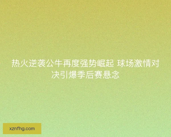热火逆袭公牛再度强势崛起 球场激情对决引爆季后赛悬念