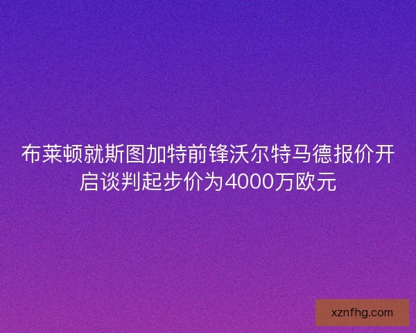 布莱顿就斯图加特前锋沃尔特马德报价开启谈判起步价为4000万欧元